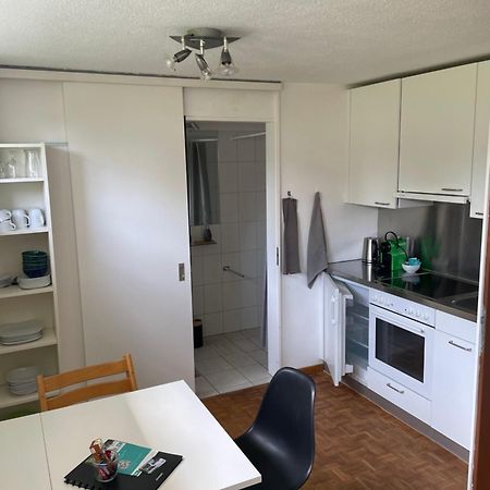 Trin 2.5 Zimmerwohnung, Pinut מראה חיצוני תמונה