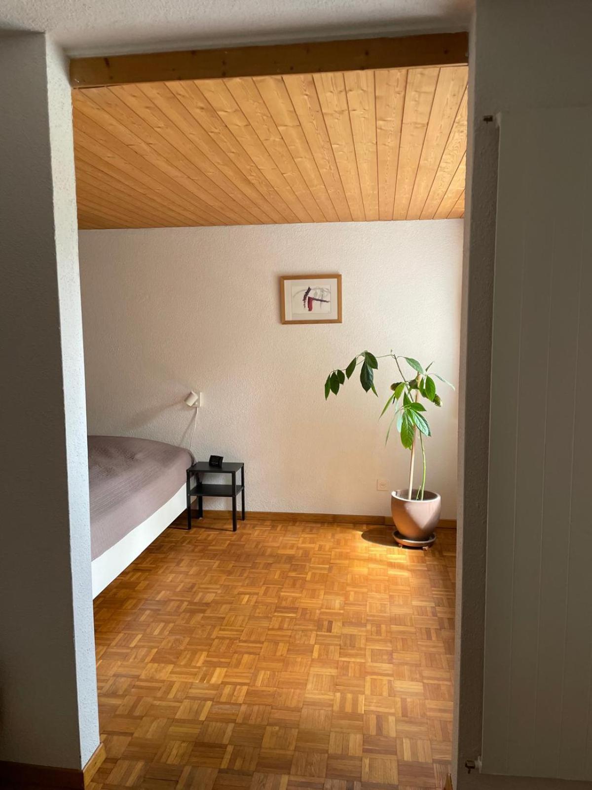 Trin 2.5 Zimmerwohnung, Pinut מראה חיצוני תמונה